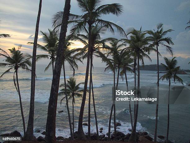 Sunset Over A Bay With Coconut Trees Silhouetted Stock Photo - Download Image Now - Back Lit, Bay of Water, Dusk