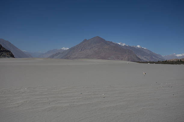 nubra valley en ladakh - prudish fotografías e imágenes de stock