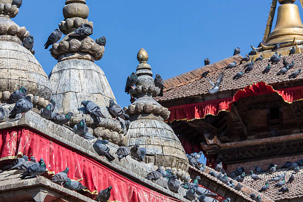 istock The famous Durbar square in Kathmandu, Nepal. 469461750
