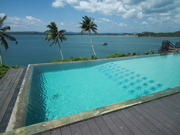 istock Coconut Trees, Swimming Pool, and a Calm Bay 469461884