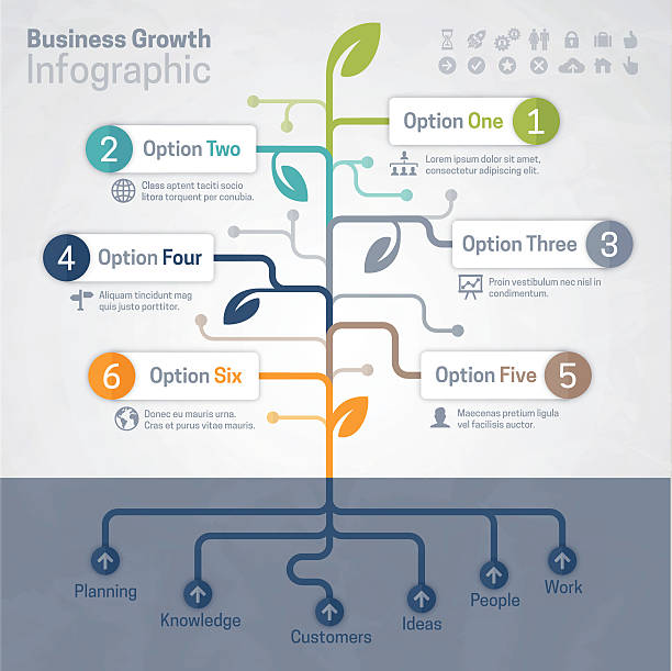 ilustraciones, imágenes clip art, dibujos animados e iconos de stock de crecimiento empresarial infografía - raíz