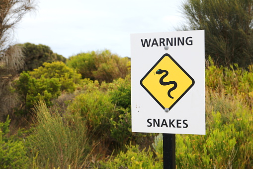 Snake warning sign on the Great Ocean Road.