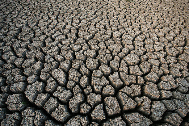 istock Background of dry cracked soil dirt 469467482