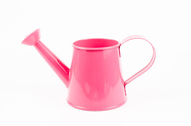 istock Pink garden watering can 469471078
