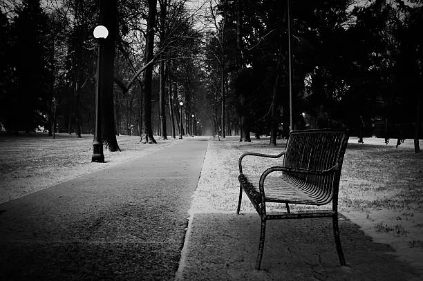 park bench im winter - carney stock-fotos und bilder
