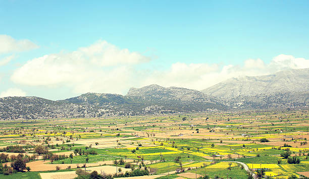 istock Amazing sunny landscape of valley with fields on the background 469474048
