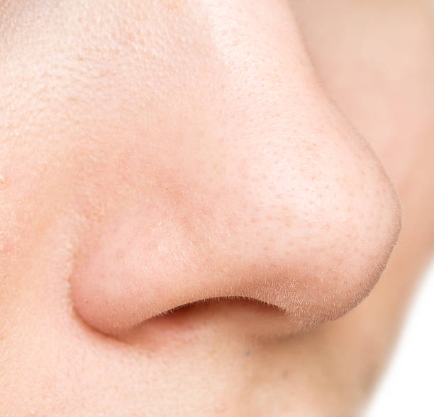 istock woman nose 469474260