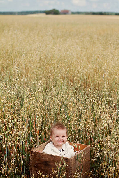 Beautiful 8 months old baby smiling in a field. stock photo