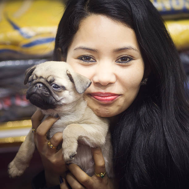 Young girl store clerk with hip pug puppy