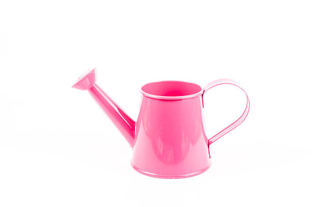 istock Pink garden watering can 469481148