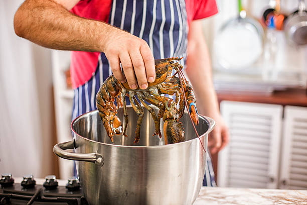 istock Cooking Fresh Healthy Lobster in Domestic Kitchen 469484584