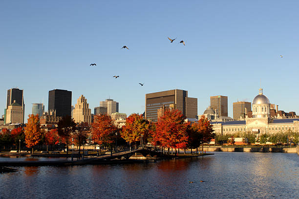 Montreal skyline in autumn