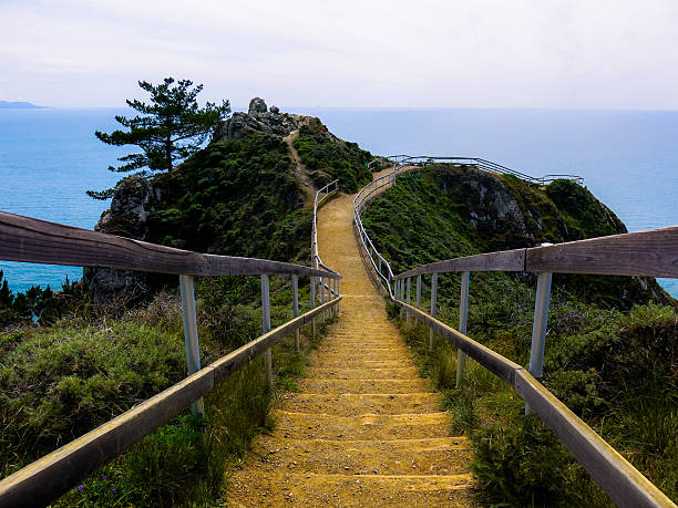 istock Muir Beach Overlook Path, California 469503080