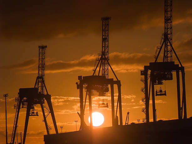 récipient trois silhouettes de grues contre le soleil levant. - tauranga photos et images de collection