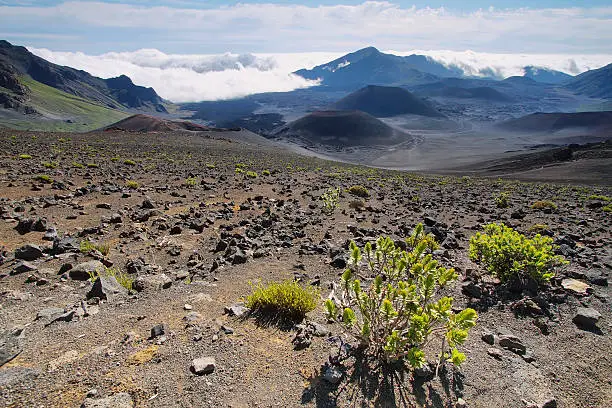 Photo of Caldera of the Haleakala volcano in Maui island