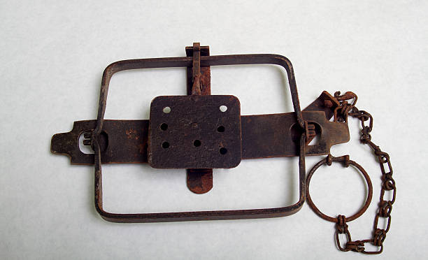 istock Antique Leg Hold Beaver Trap 469513738