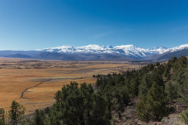 istock Alpine meadow with Sierra Nevada mountains 469517400