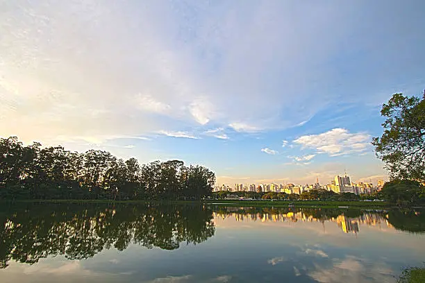 Amazing view of buildings and a pond from inside Ibirapuera park in Sao Paulo, Brazil