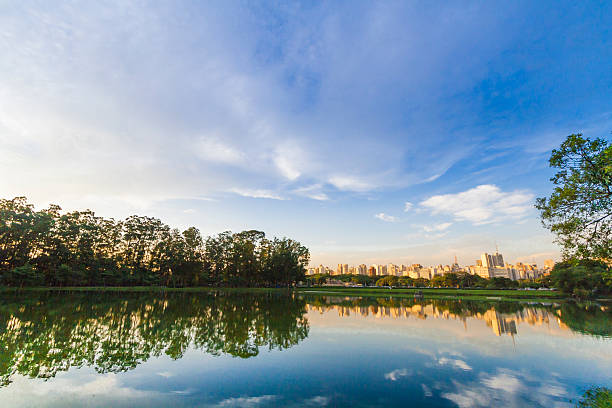 istock Ibirapuera park, Sao Paulo Brazil 469517708