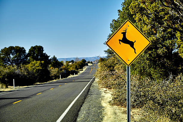 Deer Crossing Road Sign stock photo