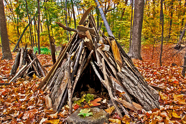 istock Man Made Woodland Structure in Fall Colors 469518335