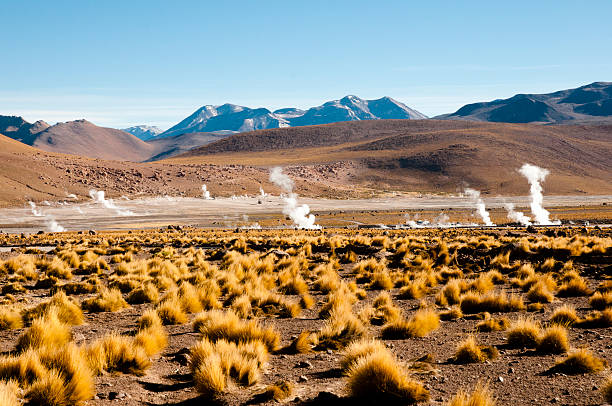 istock El Tatio Geyser Field - Chile 469520192