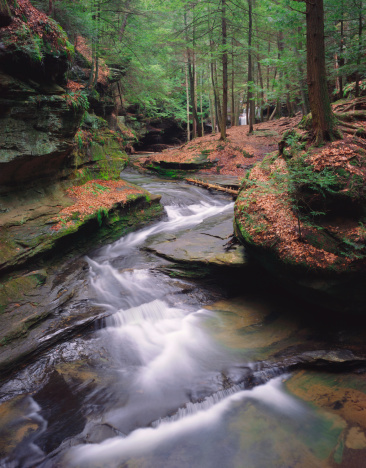 A stream cuts a zig zag path through a narrow gorge in the Old Man's Cave section of Hocking Hills State Park in Southeastern Ohio.