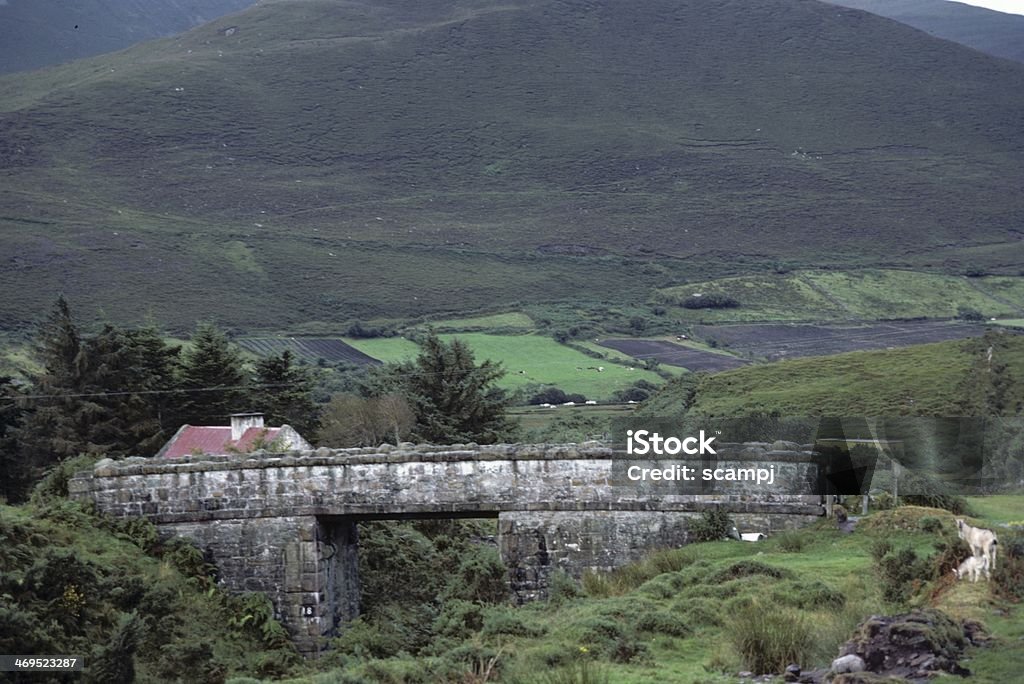 Piccolo ponte irlandese - Foto stock royalty-free di Anello di Kerry