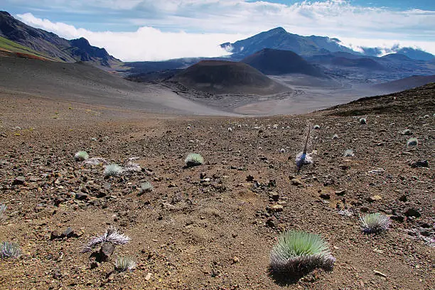 Photo of Caldera of the Haleakala volcano in Maui island