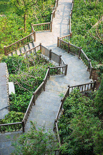 istock beautiful pathway in garden of hotel 469526042