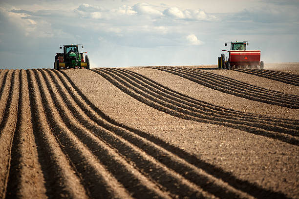 春を植える - plowed field dirt agriculture field ストックフォトと画像