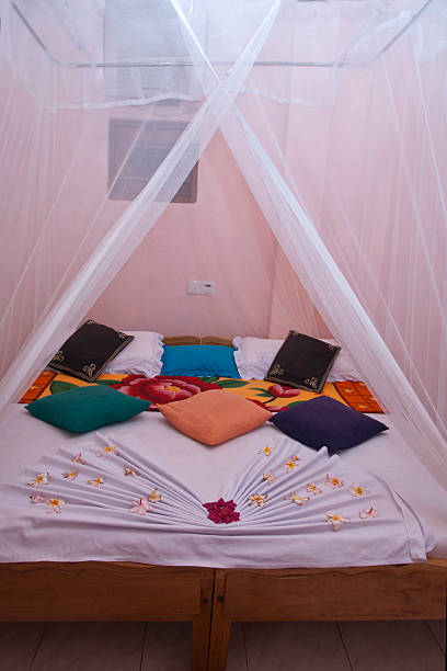 istock traditional Sri Lankan bed 469526485