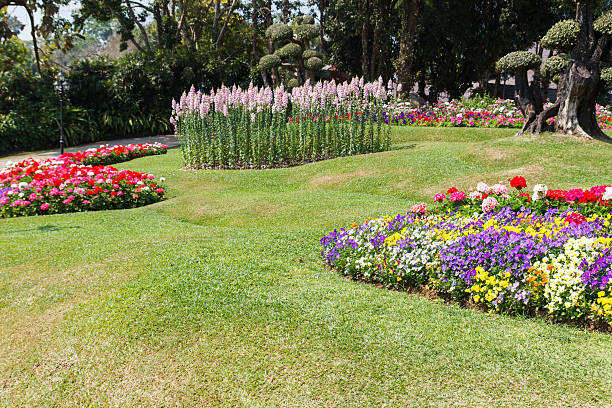 istock flowerbed decorating in the garden 469526576