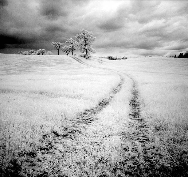 istock Dirt Road in Infrared 469526682