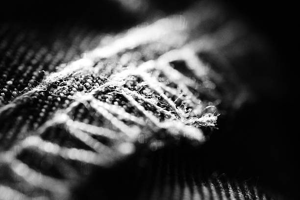 istock Macro of Jean 469530134