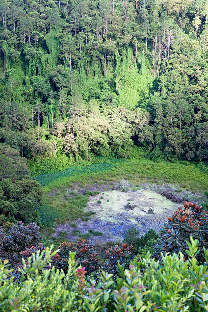 Volcano crater in Mauritius