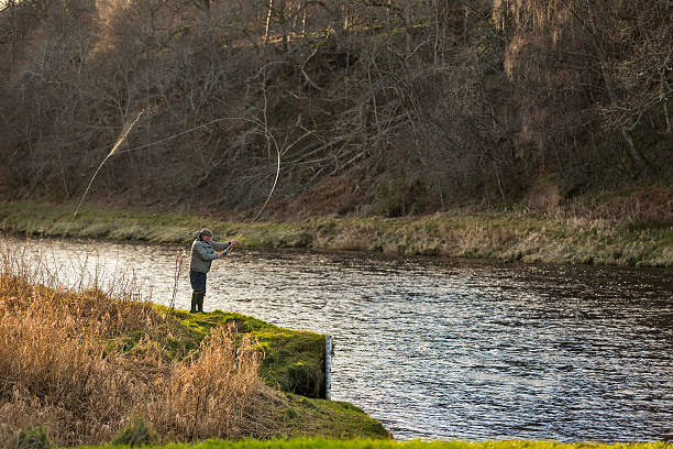 River Spey, Scotland, opening day of Salmon fishing season 2014 Craigellachie, Speyside, Moray, Scotland - February 11, 2014: This is an unidentified fisherman on the first days fishing for Salmon on the River Spey near Craigellachie, Moray, Scotland on 11 February 2014. fly fishing scotland stock pictures, royalty-free photos & images