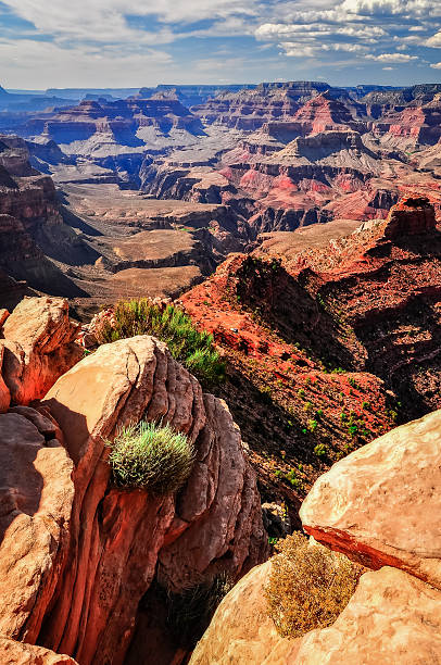 istock Grand canyon vertical landscape view, rocks foreground 469535539