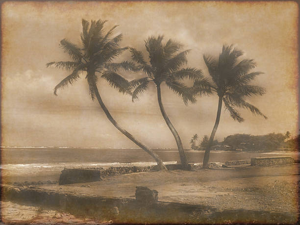 istock Grunge old photograph of Oahu beach 469536701