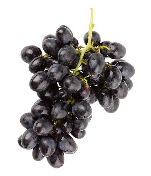 istock branch of grapes on white background 469537231