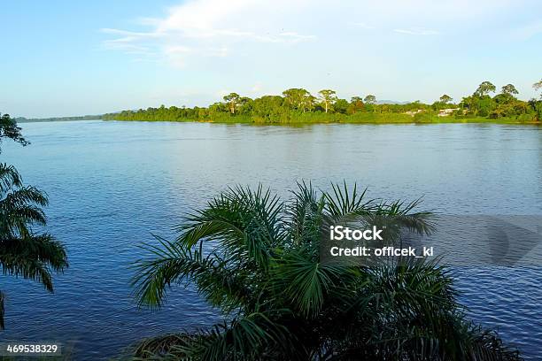 Panorama View Of The Ogowe River And Its Banks Stock Photo - Download Image Now - Gabon, River, Woodland
