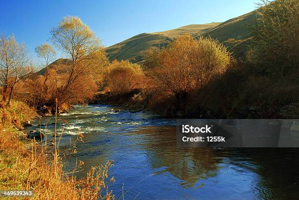 Fiume Debed Armenia - Fotografie stock e altre immagini di Albero - Albero, Alveo, Ambientazione esterna