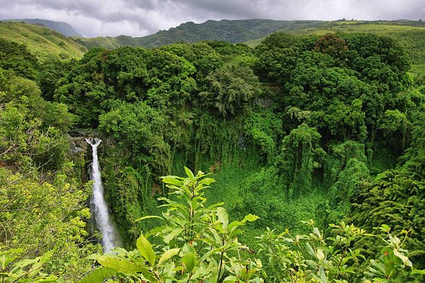 makahiku falls - hana fotografías e imágenes de stock