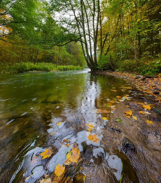 istock Wild river in autumnal colorful forest 469543908