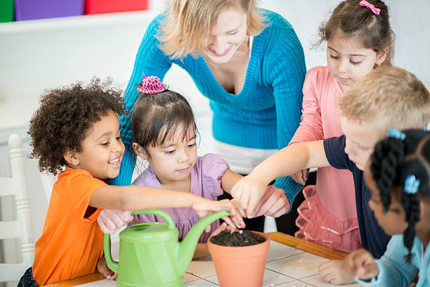 preschoolers apprenant à planter des graines - preschooler plant preschool classroom photos et images de collection