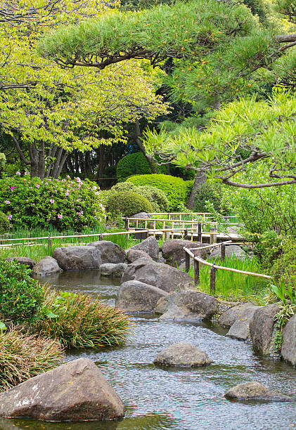 istock Japanese green garden 469544518