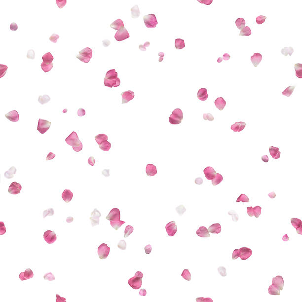 istock Scattered flying petals of different sizes 469544661