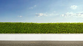 istock Green hedge with white fence under a blue sky 469546579