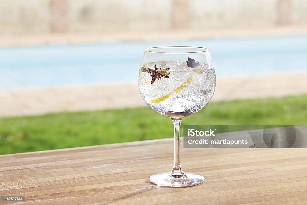 Star anise and cardamom gin tonic cocktail Star anise and cardamom gin and tonic cocktail on poolside bar Alcohol - Drink Stock Photo