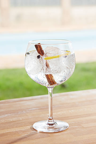 cannella e ginepro gin cocktail tonico con una piscina all'aperto - lemon fruit portion citrus fruit foto e immagini stock